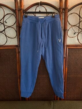 American Eagle Outfitters Blue Logo Jogger Sweatpants
